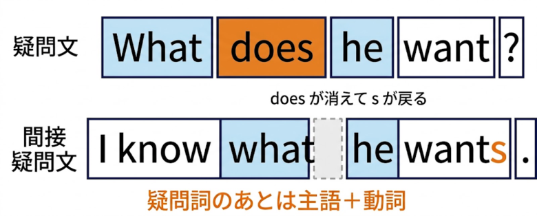 間接疑問文【中3で最も間違える】