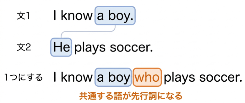 関係代名詞とは何か【2文を1文に】