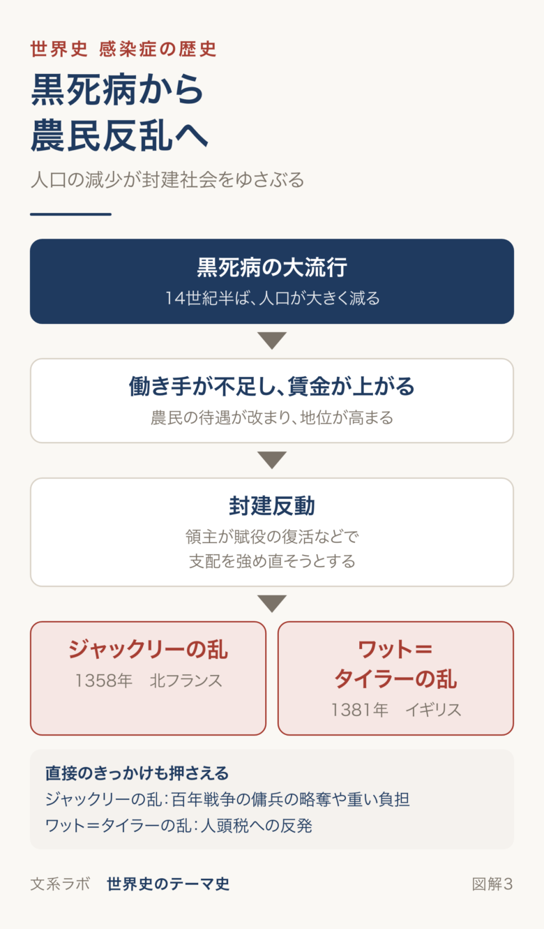 黒死病による人口減少から、賃金の上昇、封建反動をへて、ジャックリーの乱とワット＝タイラーの乱に至る流れの図